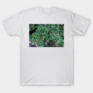 Green Coleus Plant T-Shirt